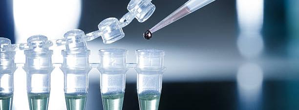 Praktikum Biologi Molekuler - BI19A
